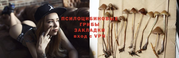 шишки Чегем