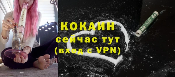 шишки Ханты-Мансийск