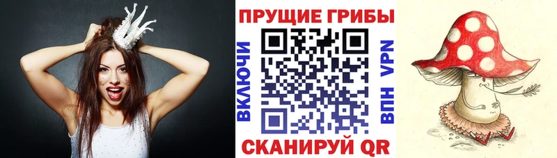 Купить где  Вятские Поляны  Галлюциногенные грибы мицелий 